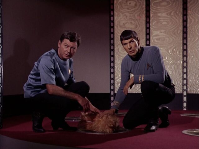 McCoy-and-Spock