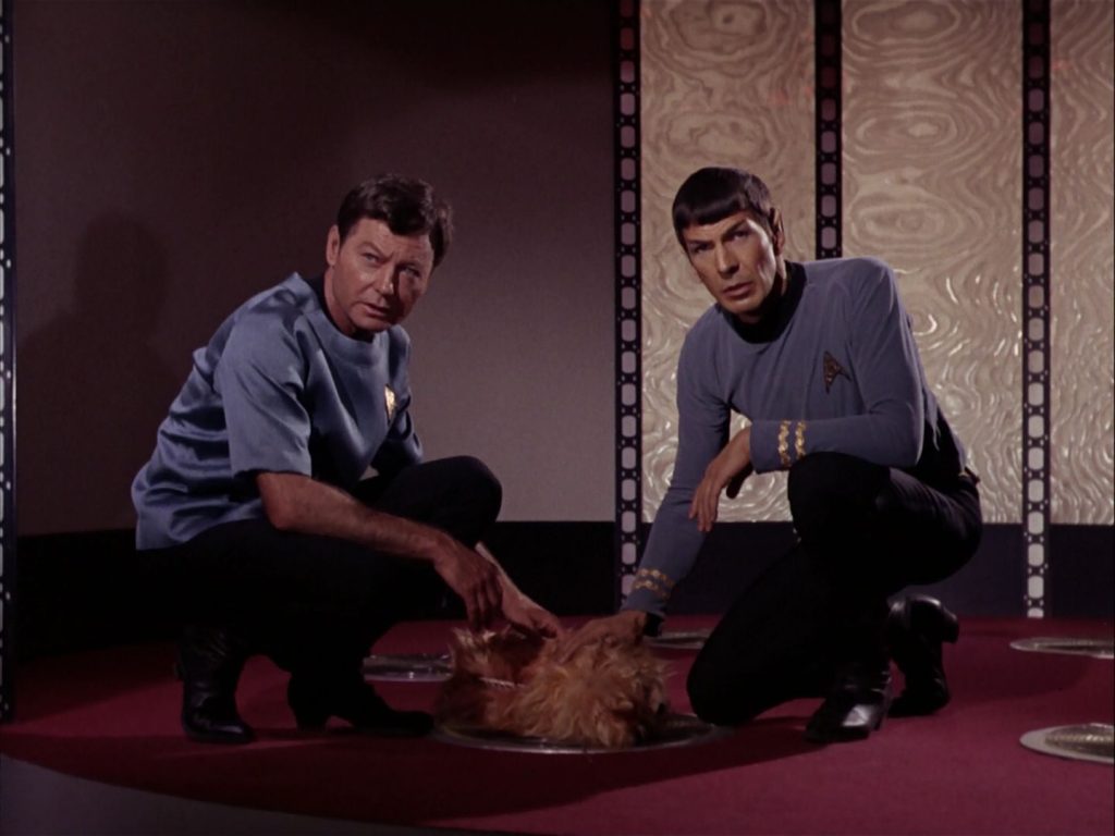 McCoy-and-Spock
